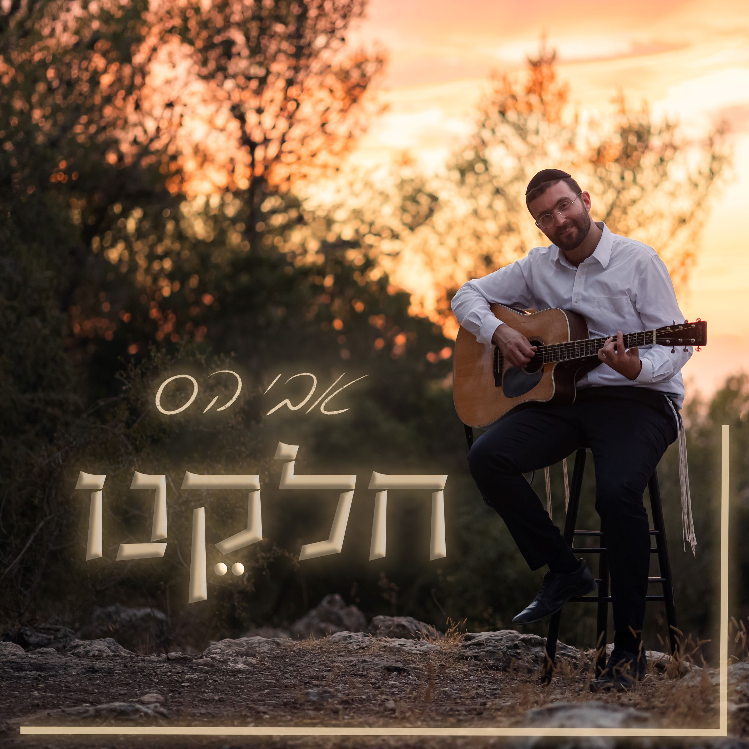 אבי הס - חלקנו.jpg