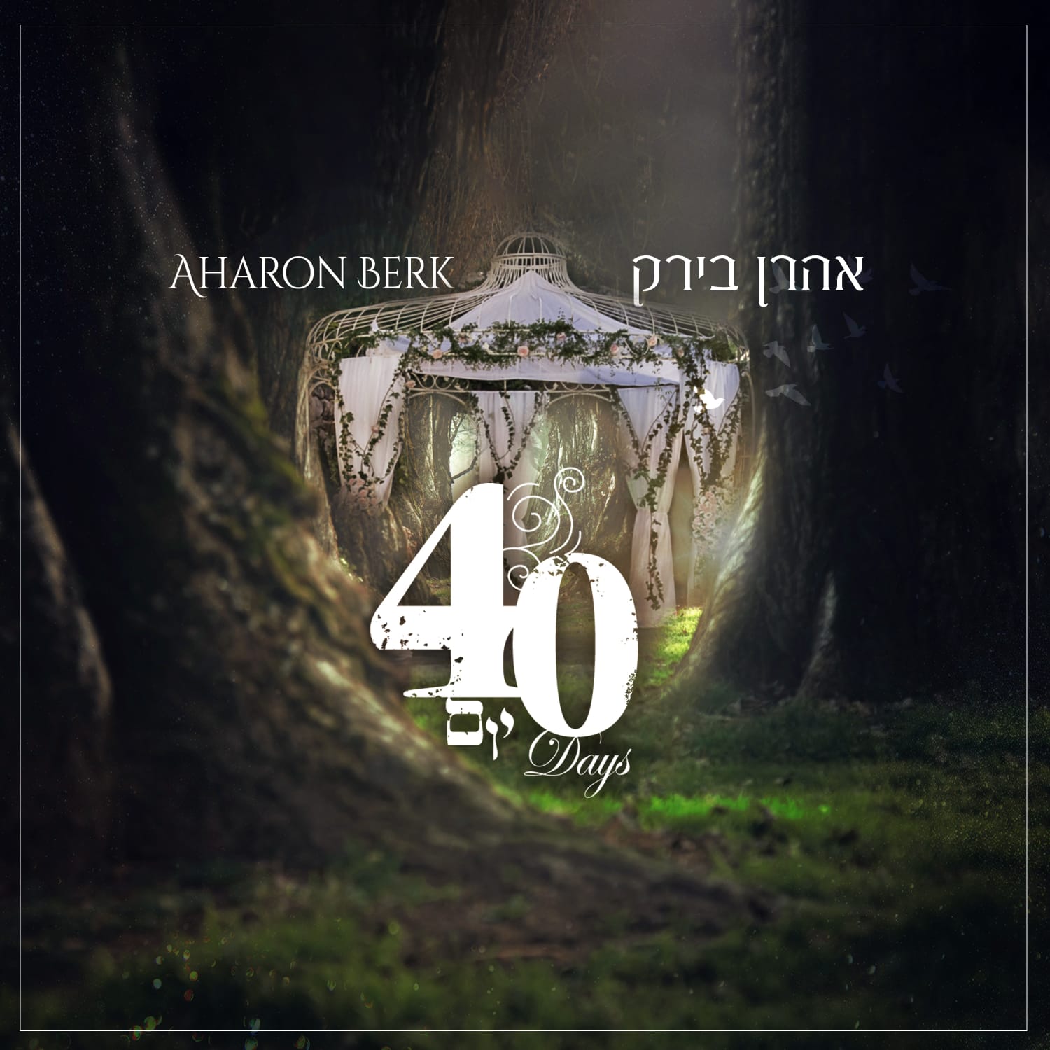 אהרן בירק - 40 יום.jpg