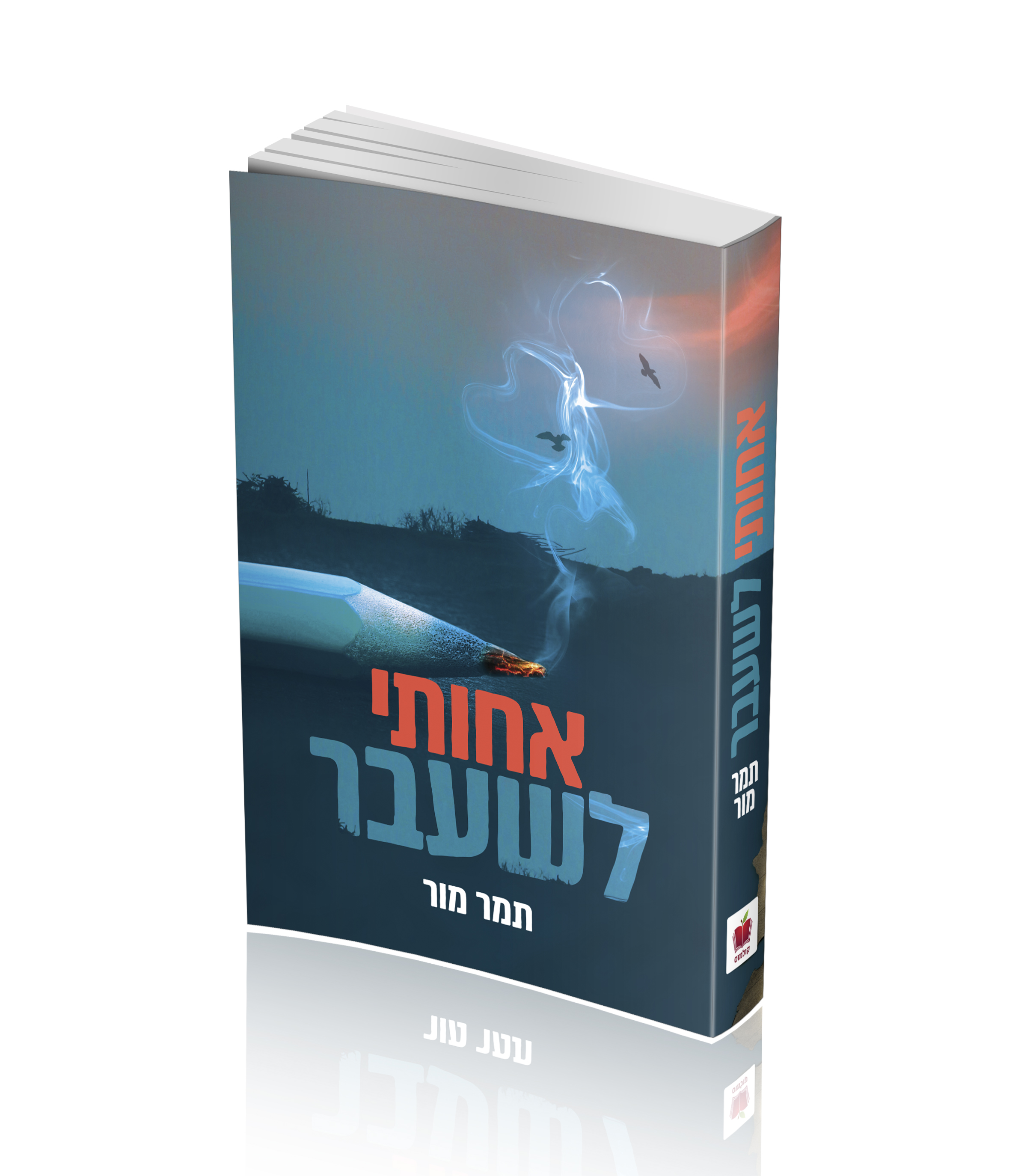 אחותי לשעבר הדמיה.jpg