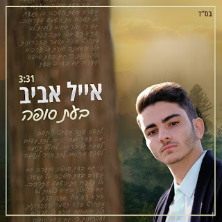 אייל אביב - בעת סופה - תמונה.jpg