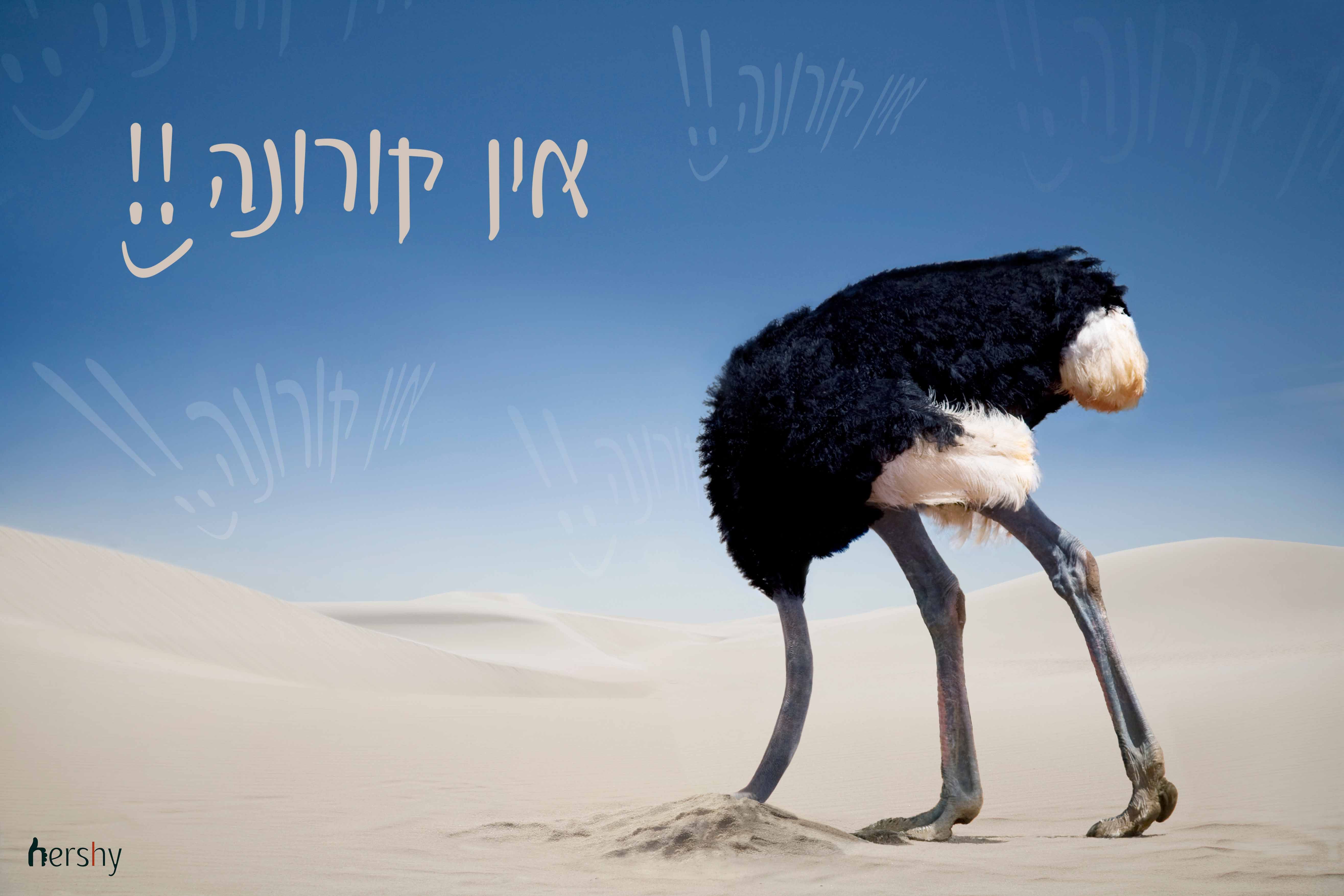 אין קורונה.jpg