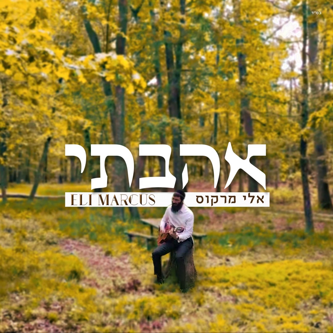 אלי מרקוס - אהבתי.jpg