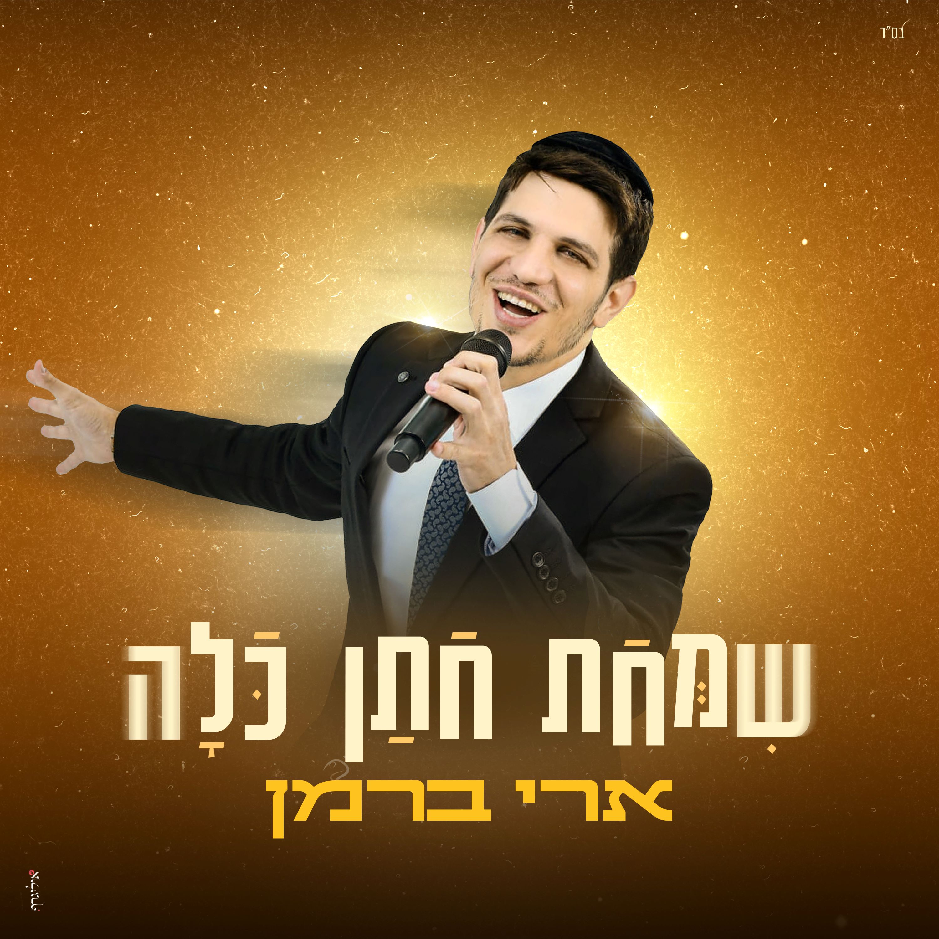 ארי ברמן - שמחת חתן כלה.jpg