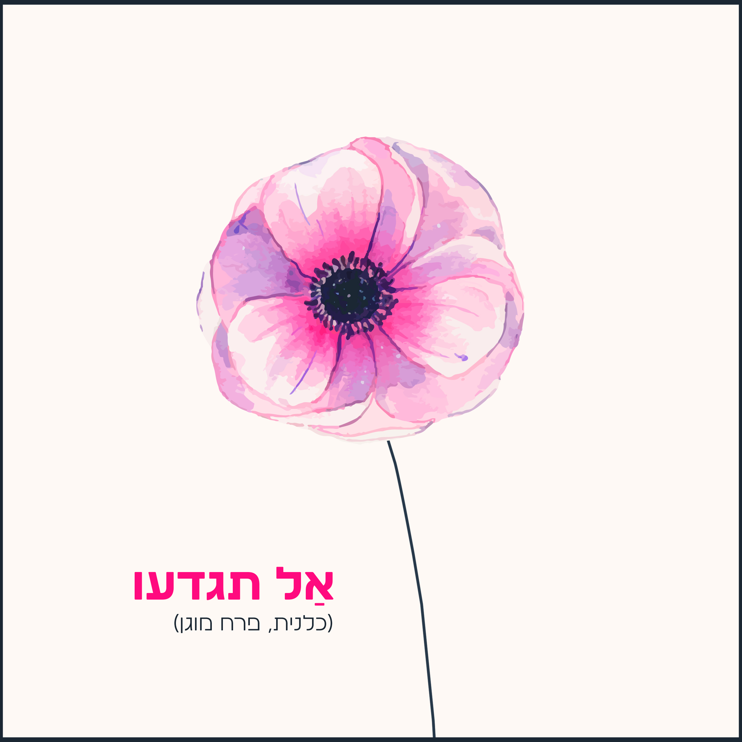 אתגר 64.jpg