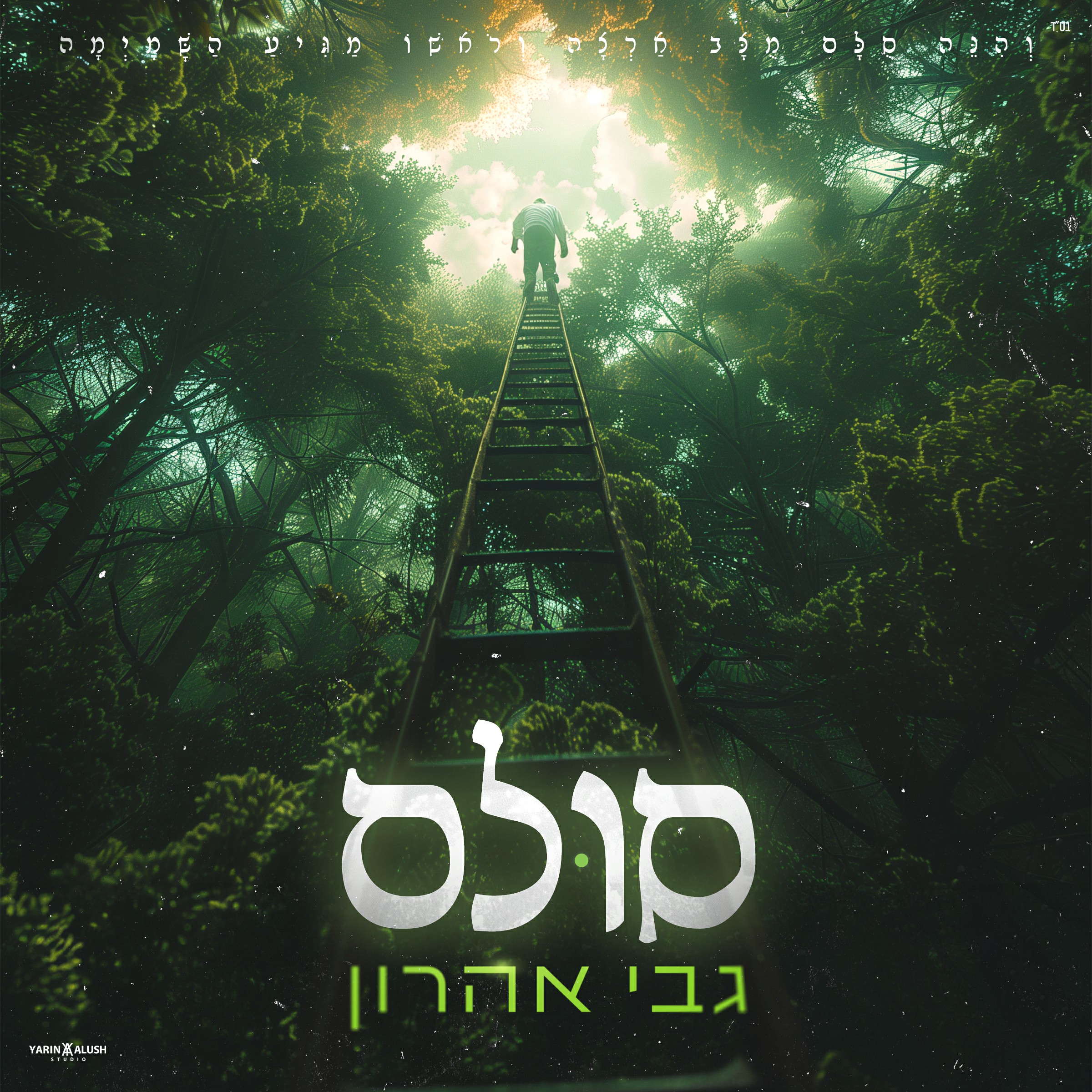 גבי אהרון - סולם.jpg