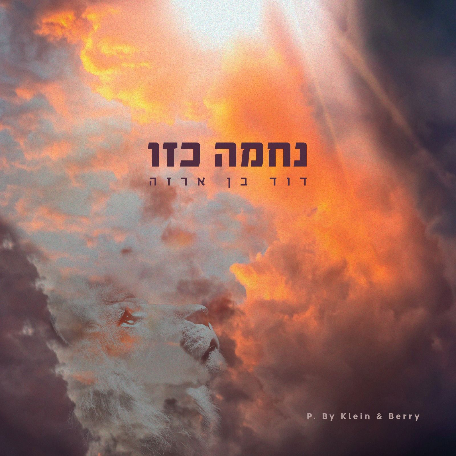 דוד בן ארזה - נחמה כזו.jpeg