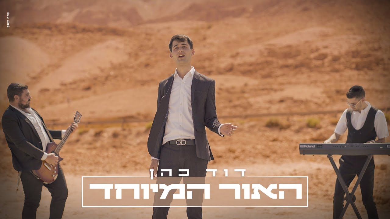 דוד כהן - האור המיוחד.jpg