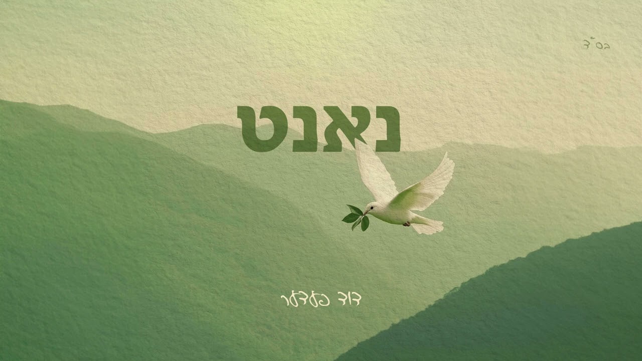 דוד פעדער - נאנט.jpg