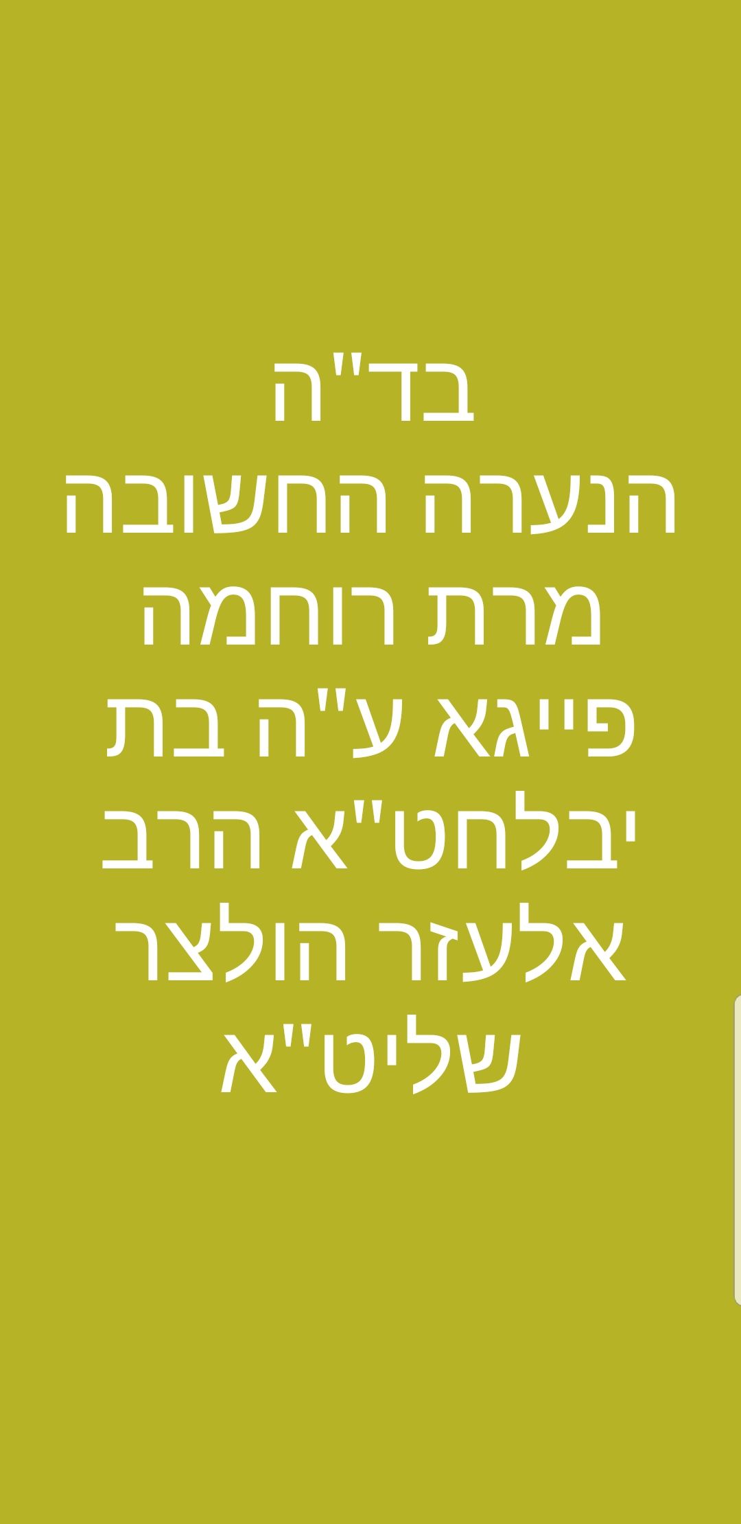 הולצר.jpg