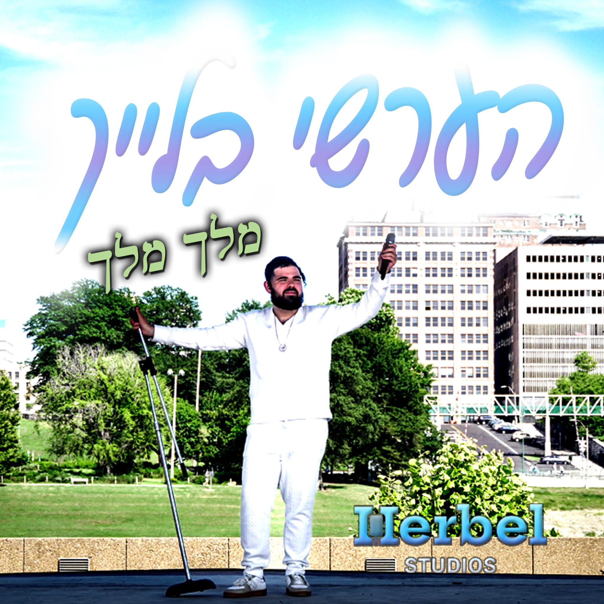 הערשי בלייך - מלך מלך.jpg