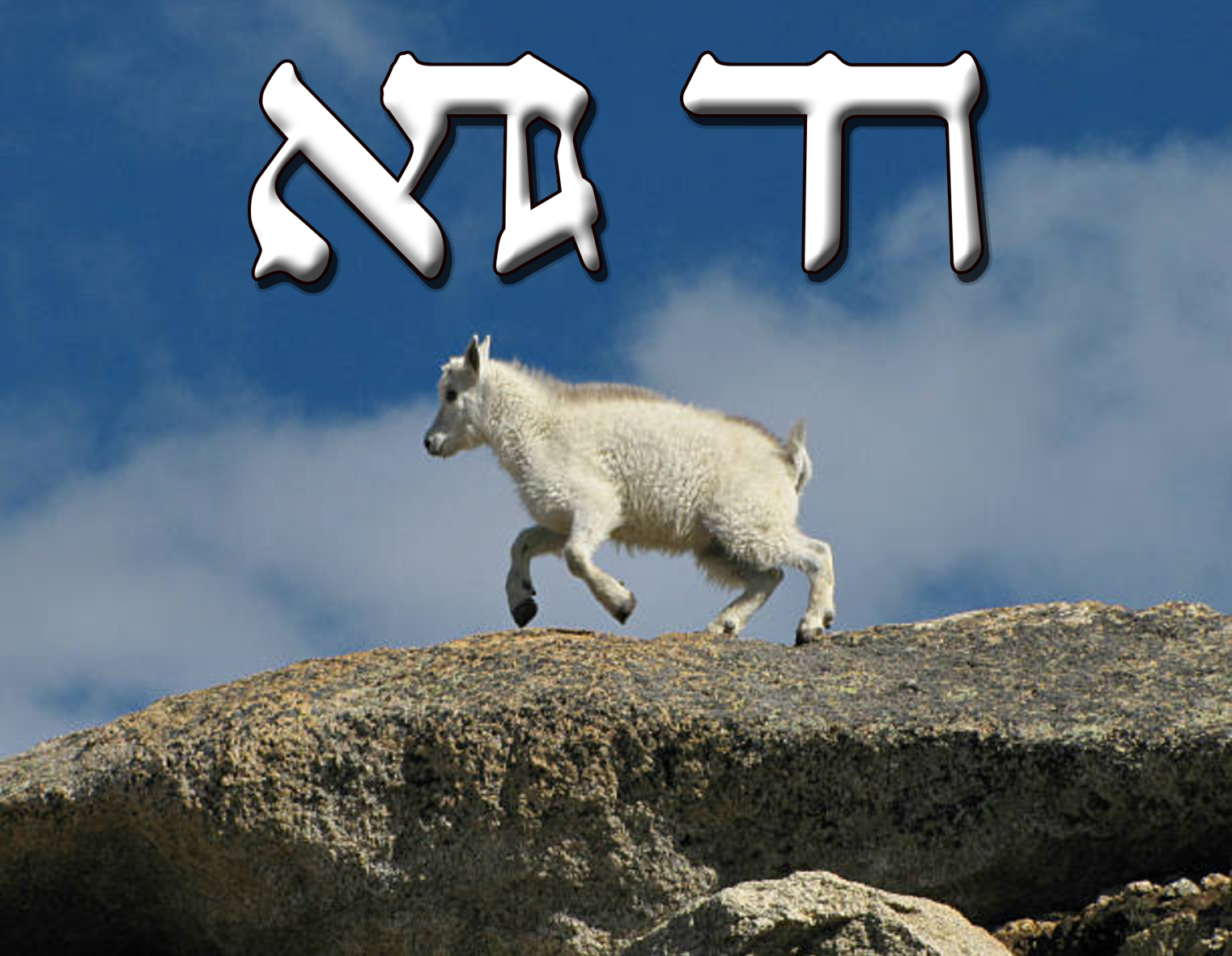 חד גדיא.jpg