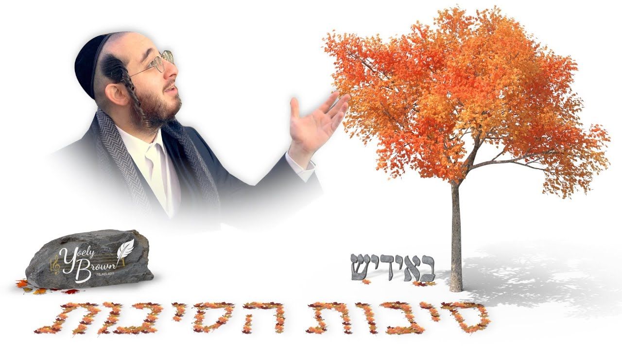 יואלי ברוין - סיבת הסיבות.jpg