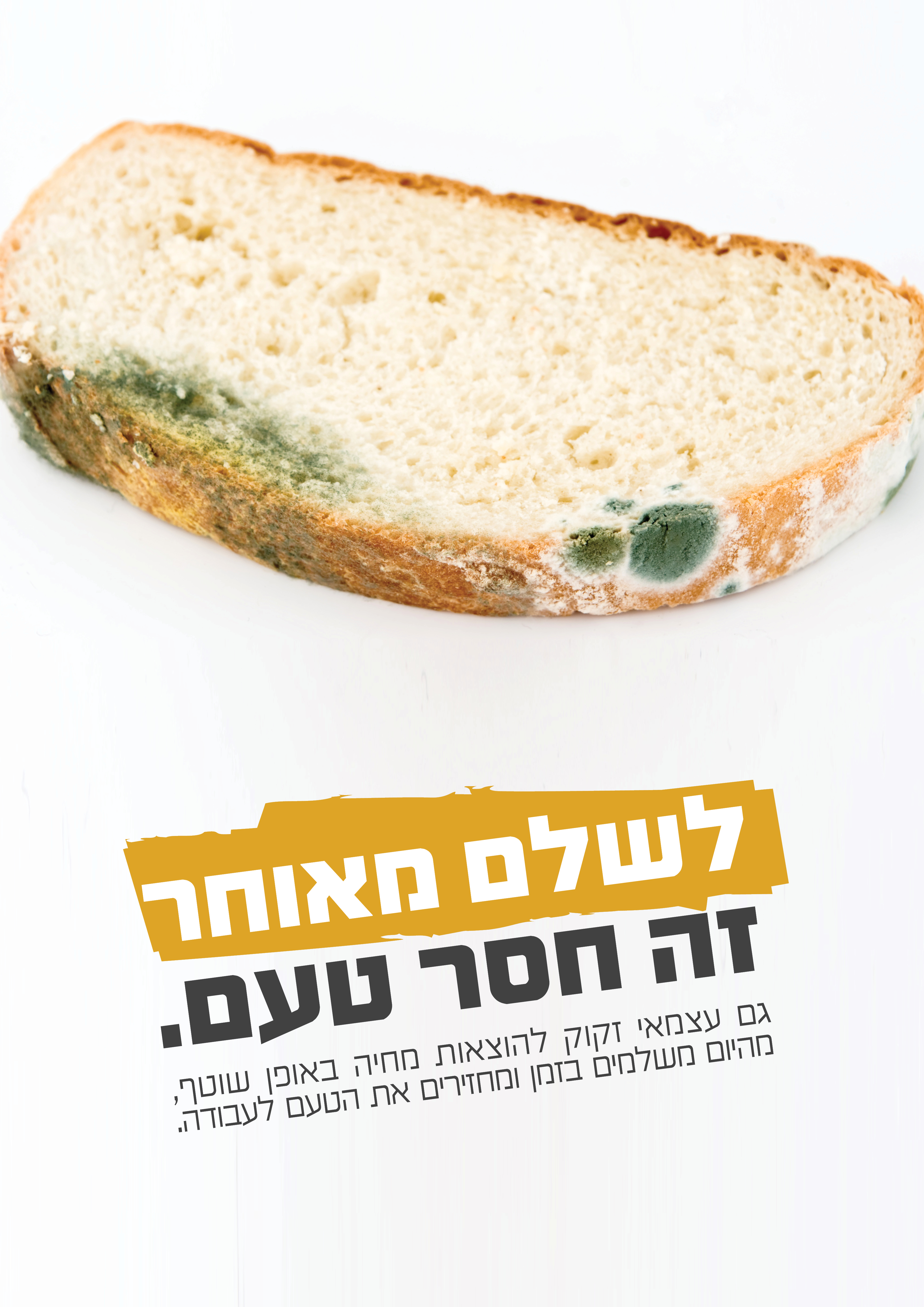 כרזה חוי2.jpg