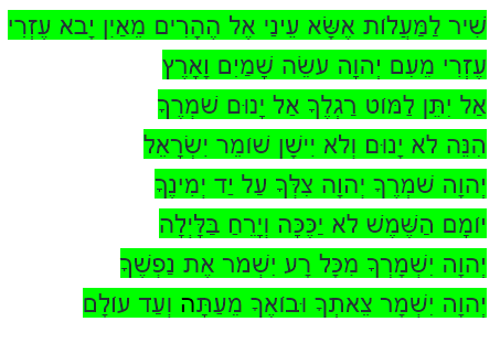 ללא שם.png