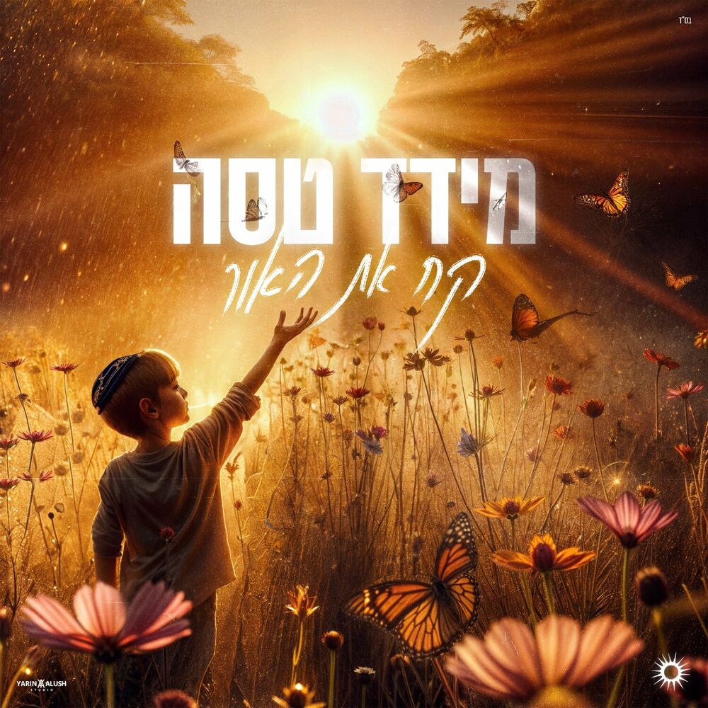 מידד טסה - קח את האור.jpg