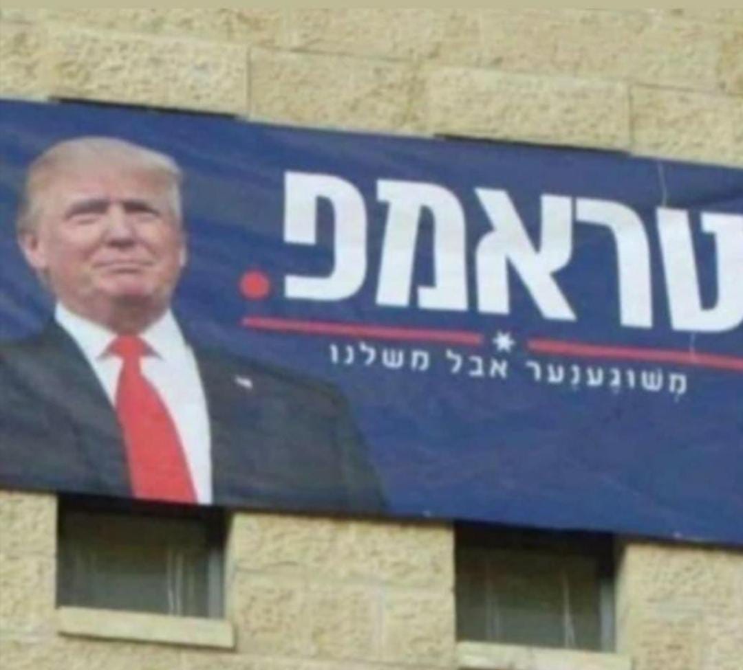 -משוגע-משלנו.jpg