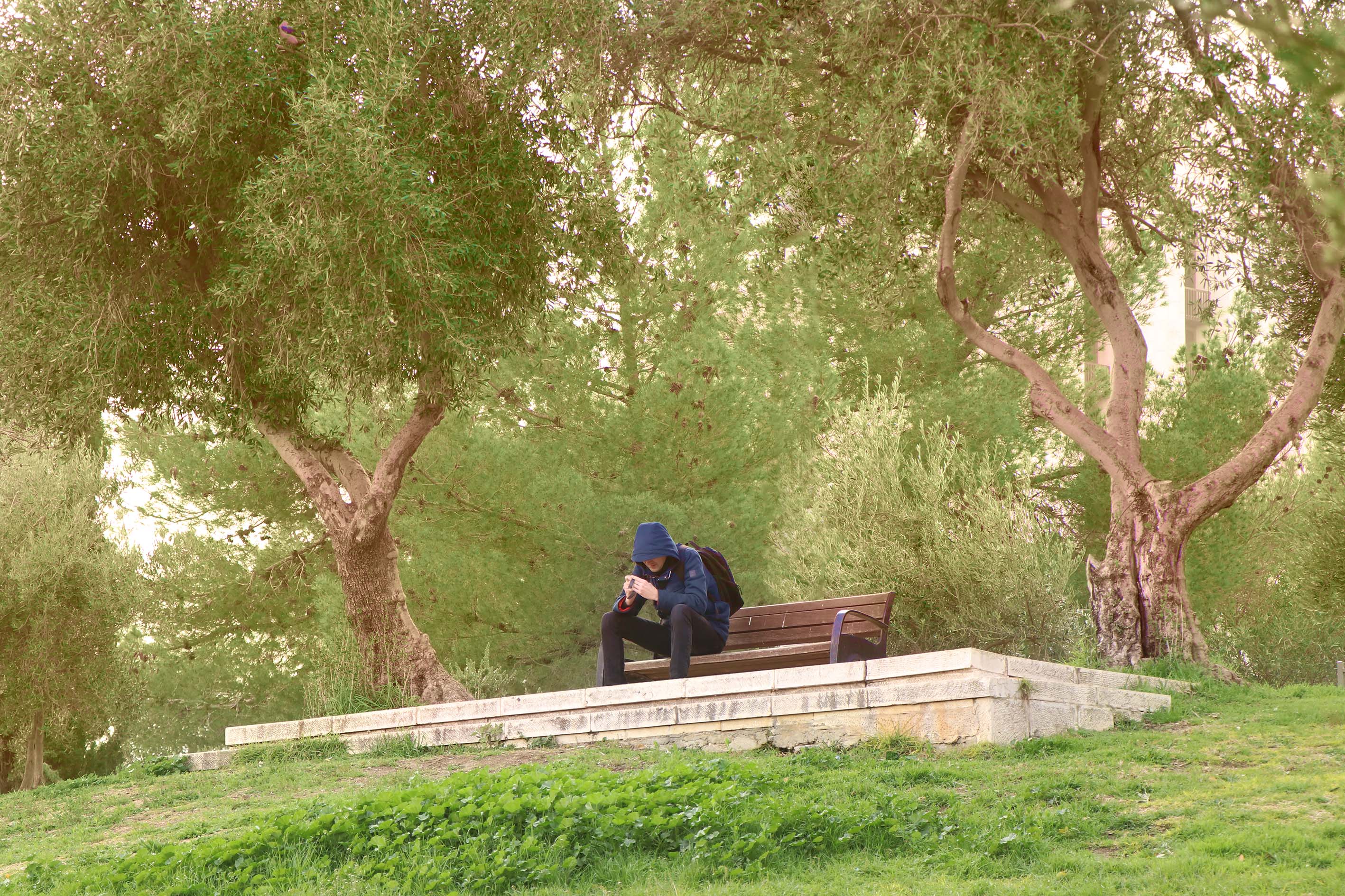 משכנות שאננים בלי עמוד.jpg