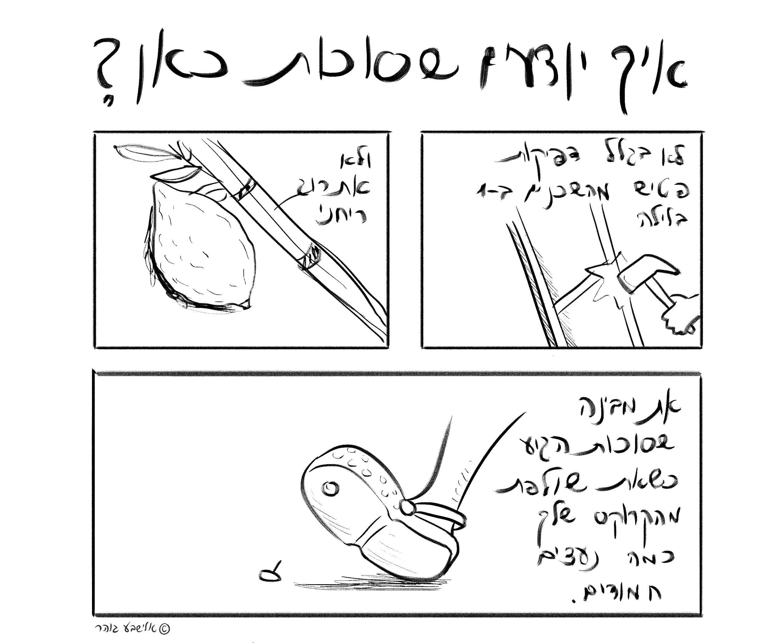 סוכות כבר כאן- אלישבע גוהר (1).jpg