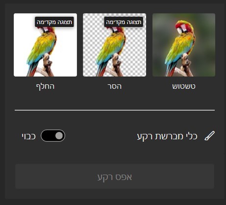 פאנל כלי טשטוש.jpg