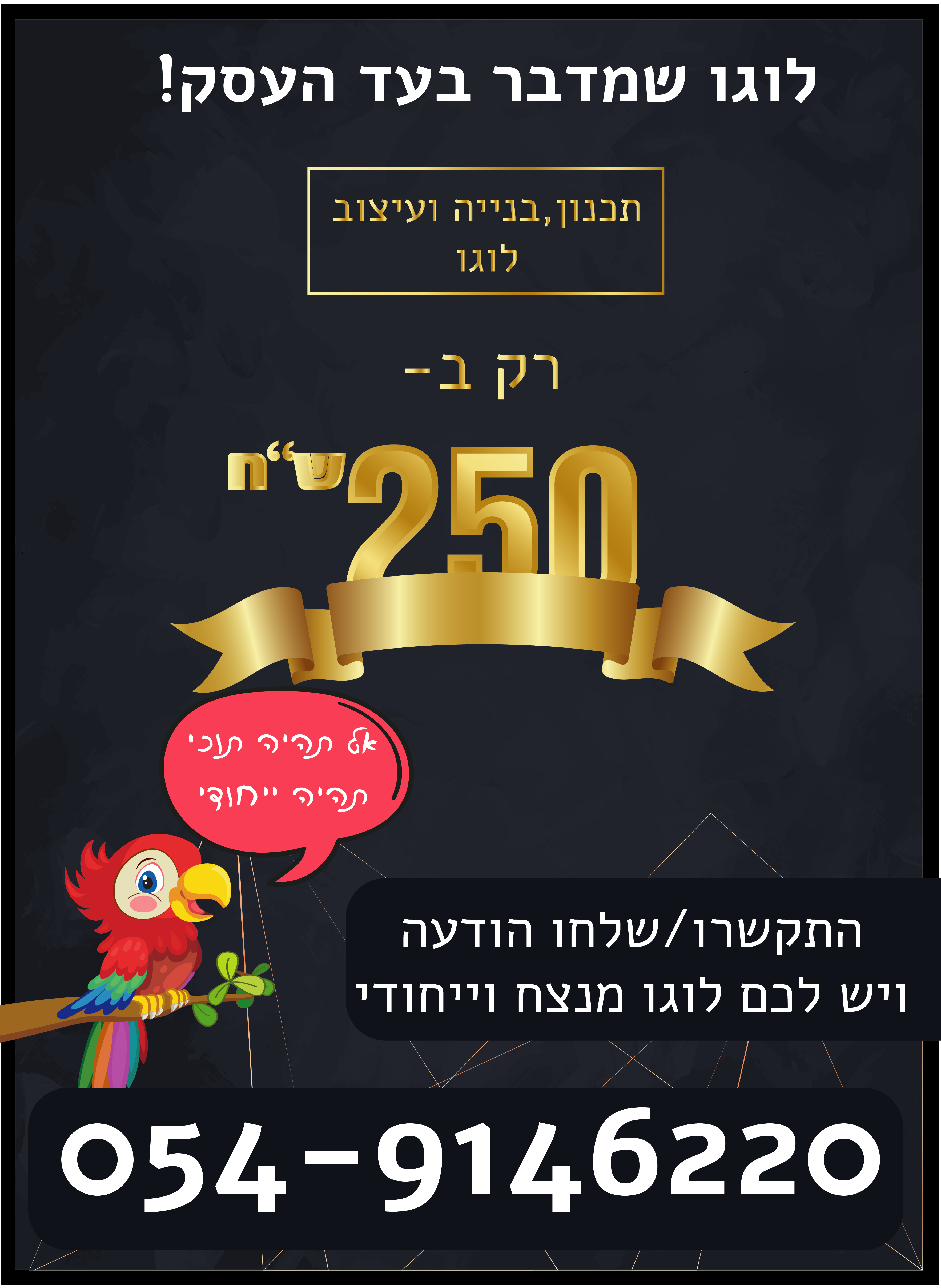 פלייר שלי.jpg