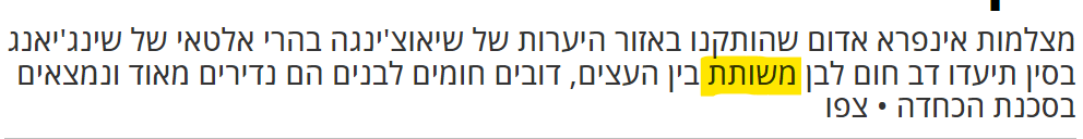 צילום מסך 2024-07-31 092124.png