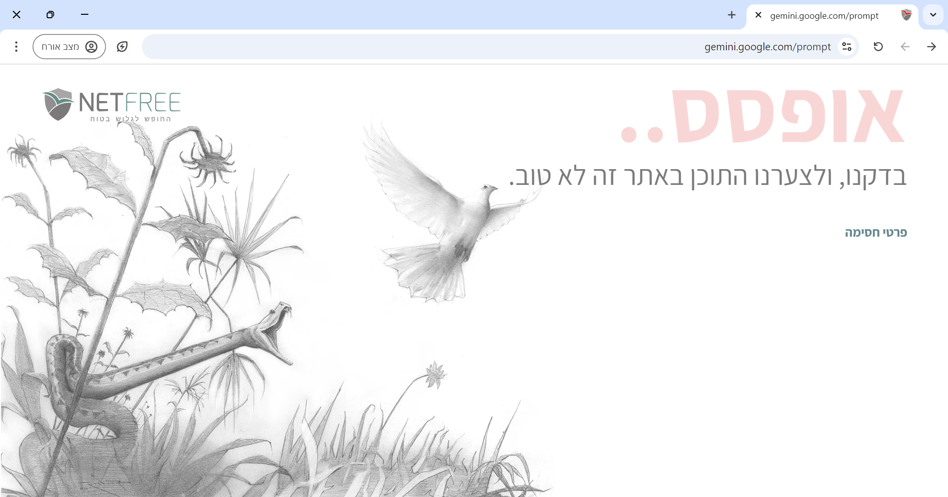 צילום מסך 2024-08-27 040425.png