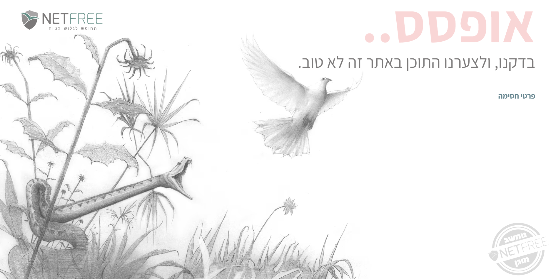 צילום מסך 2024-08-27 042813.png