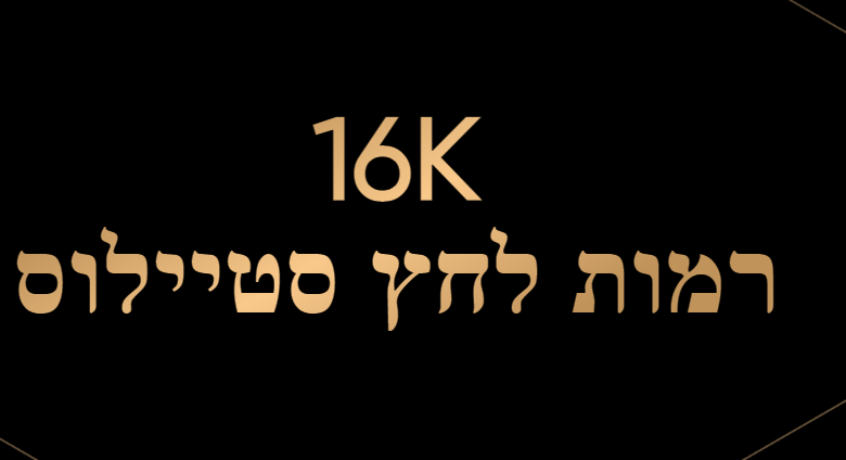 צילום מסך 2024-09-05 185653.png