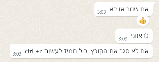 צילום מסך 2024-09-15 030354.png