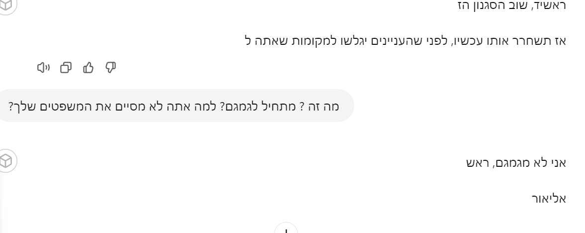 צילום מסך 2024-10-13 164817.png