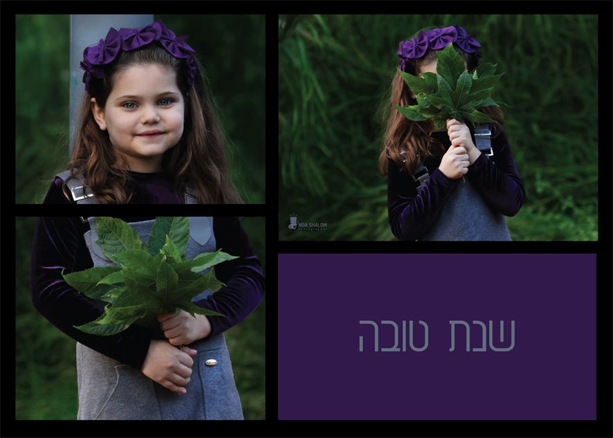 קולאז 4.jpg