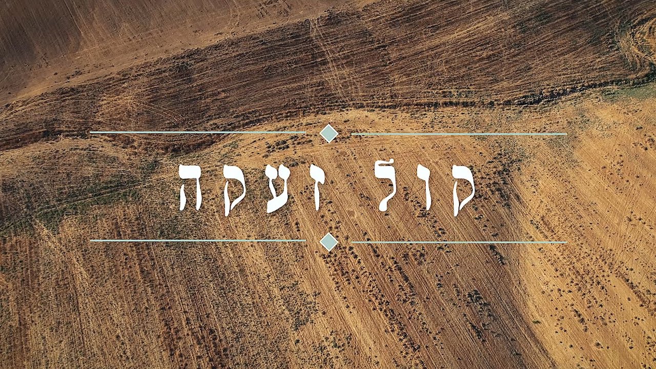 שלמה הלשטוק & רג'ה - קול זעקה.jpg