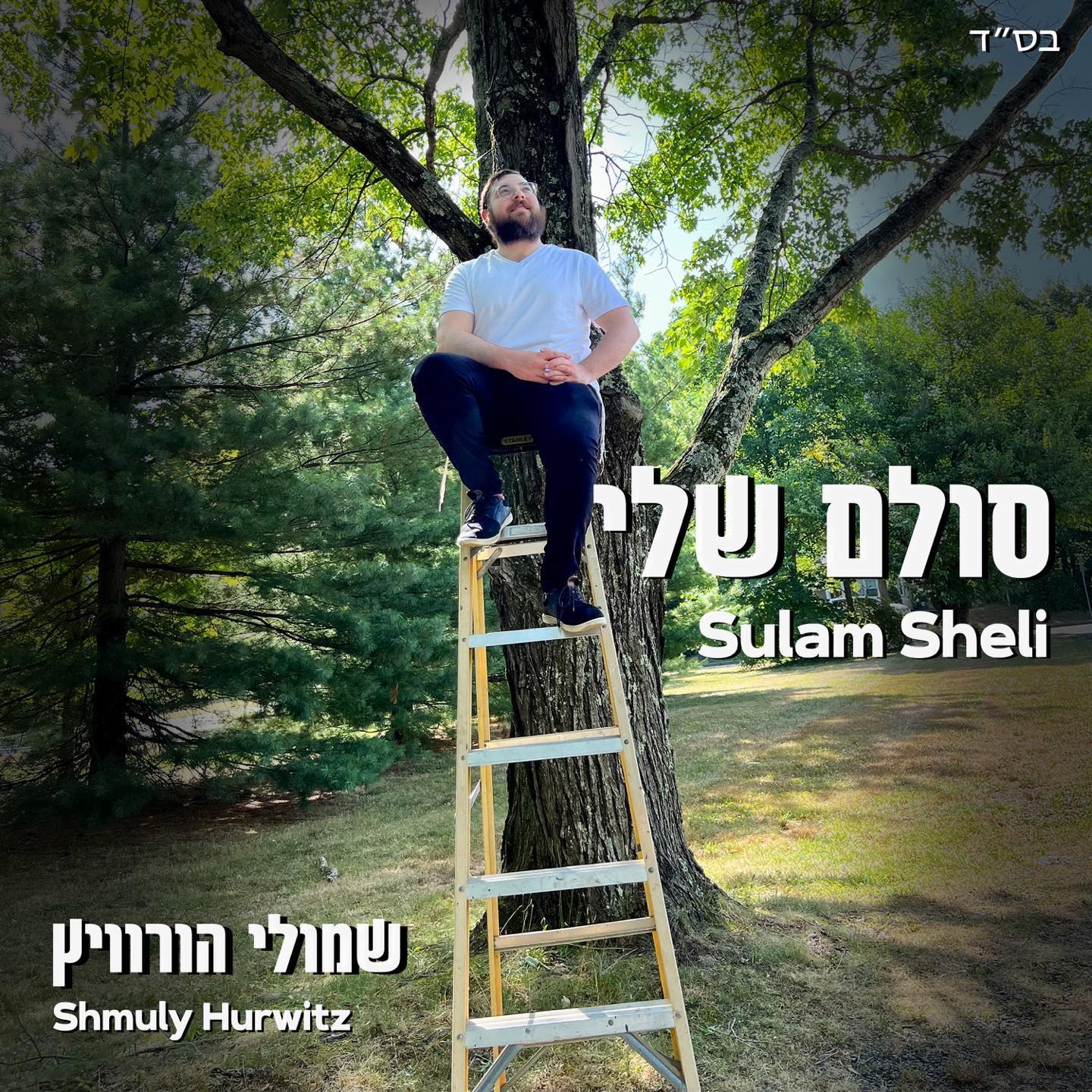 שמולי הורוויץ - סולם שלי.jpg