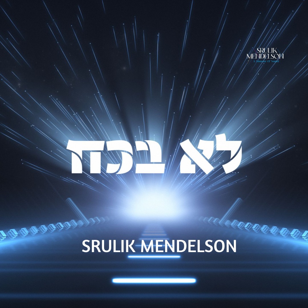 שרוליק מנדלסון - לא בכח.jpg