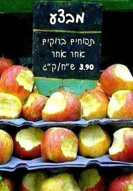 תמונה1.jpg