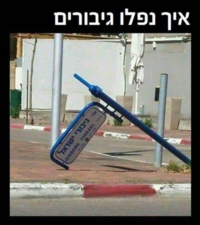 תמונה3.jpg