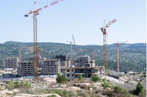 0065254_construction-progress-february-2022_300.jpg