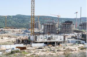 0065255_construction-progress-february-2022_300.jpg