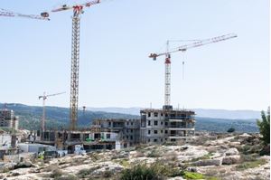 0065256_construction-progress-february-2022_300.jpg