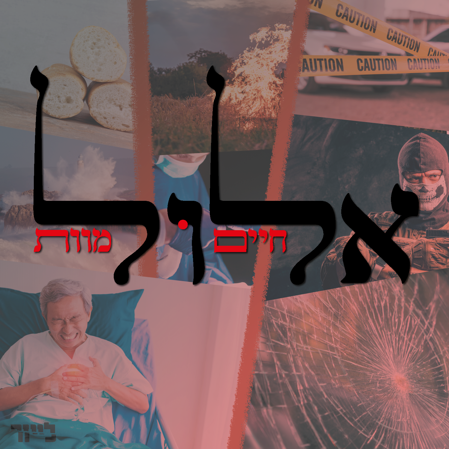 Artboard <לא ניתן לפרסם מיילים באופן פומבי>