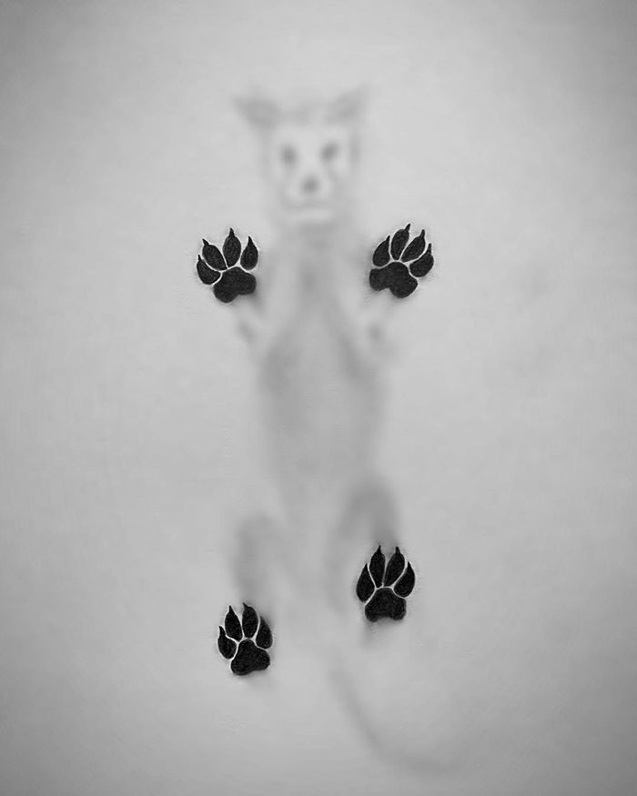 haunting-shadow-drawings-willie-hsu-5e98187ca22f6__700.jpg