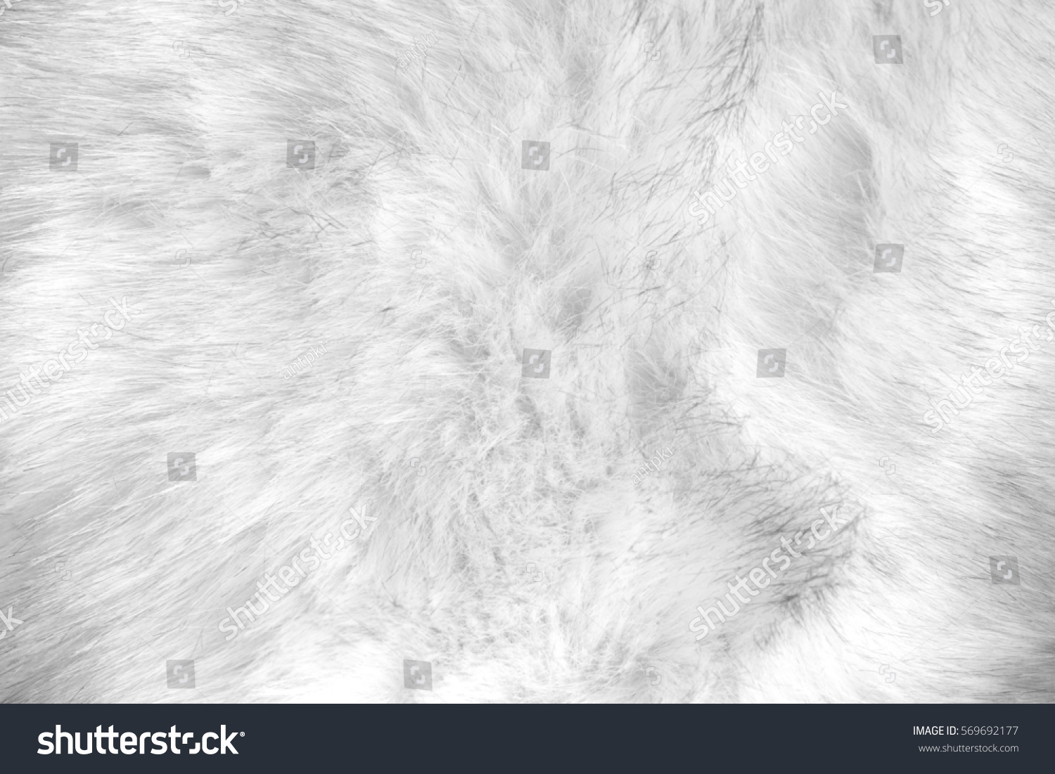 stock-photo-white-artificial-fur-texture-569692177.jpg