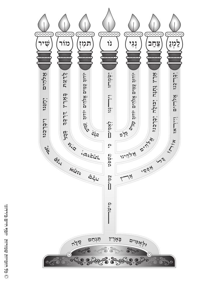 למנצח מעודכן.jpeg