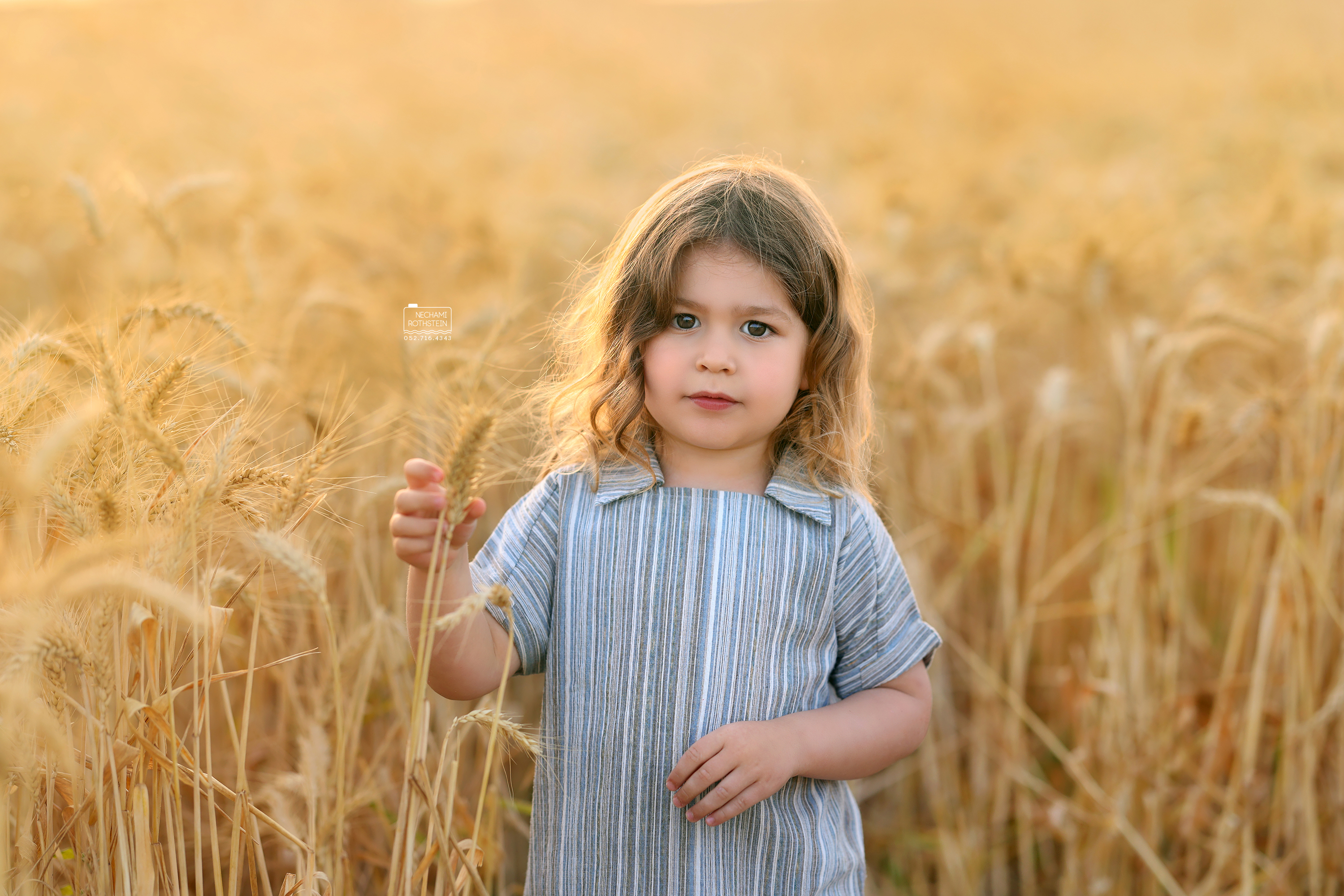 נחמי רוטשטיין צילום 0527164343 (15).jpg