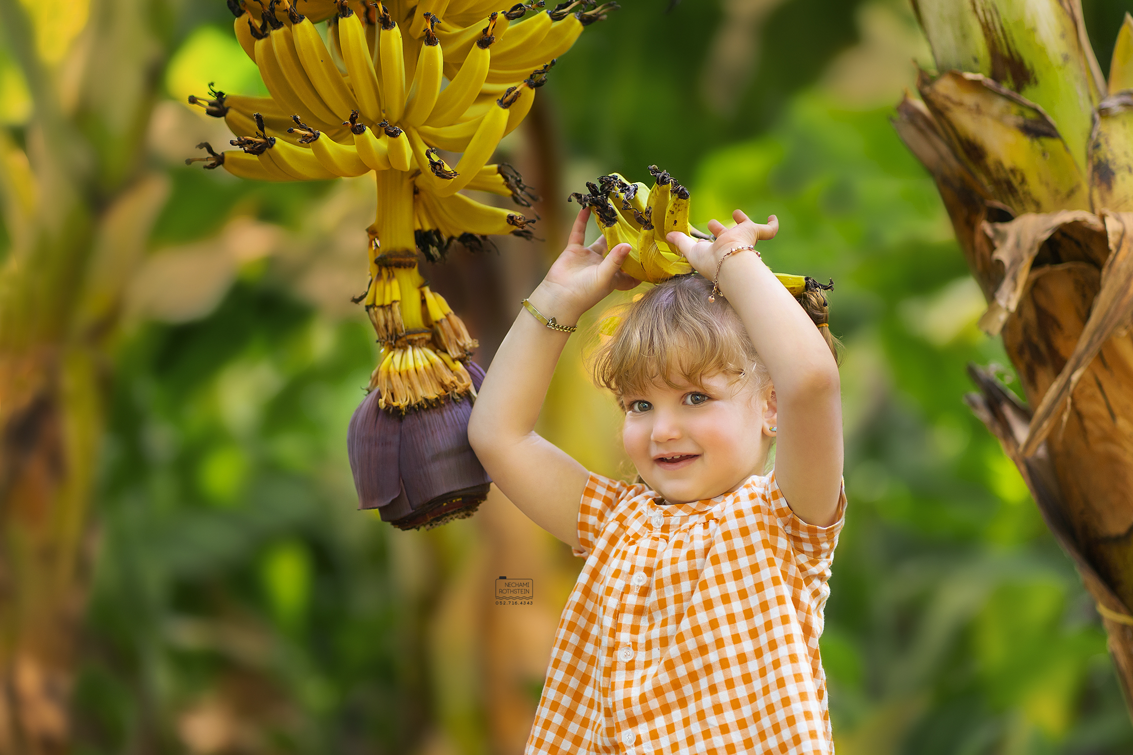 צילום נחמי רוטשטיין 0527164343 (1).jpg