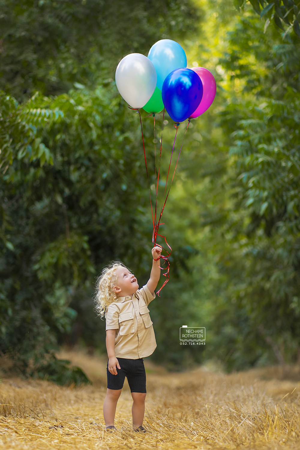 צילום נחמי רוטשטיין 0527164343 (13).jpg