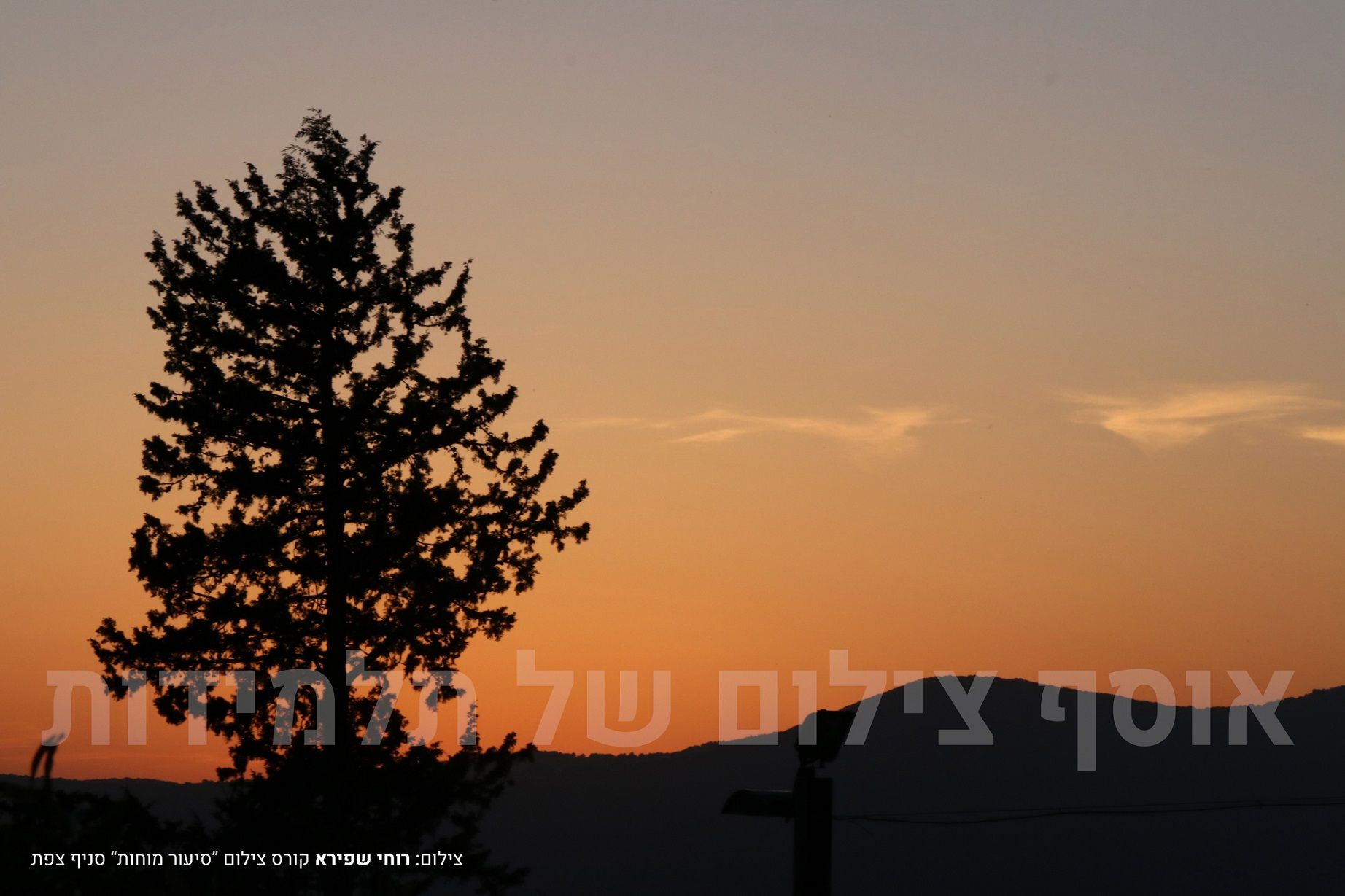 צילום תלמידות (4).jpg