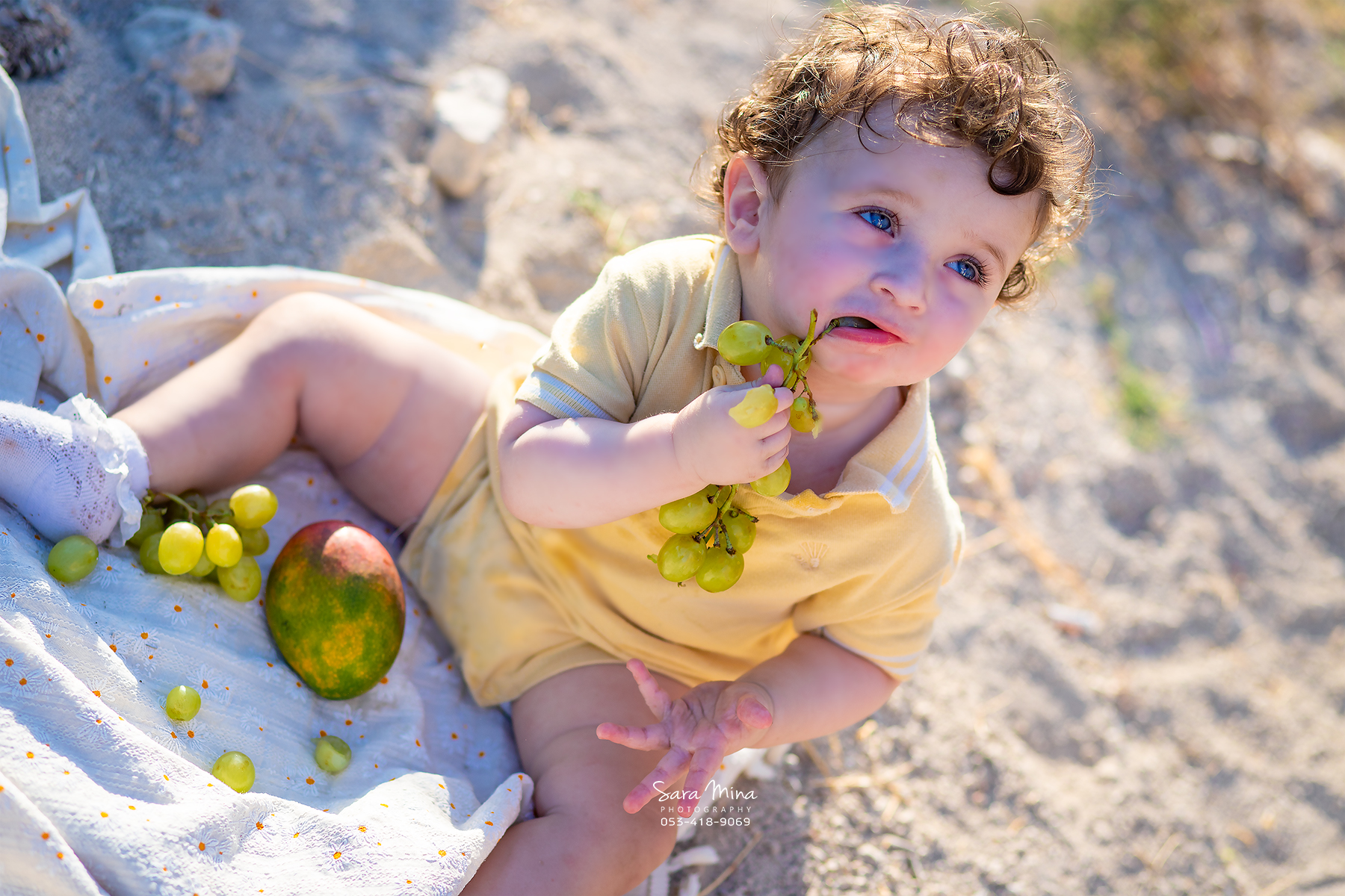 קיץ בכרמים