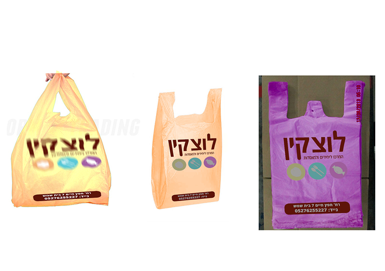 תיק עבודות פרוג18