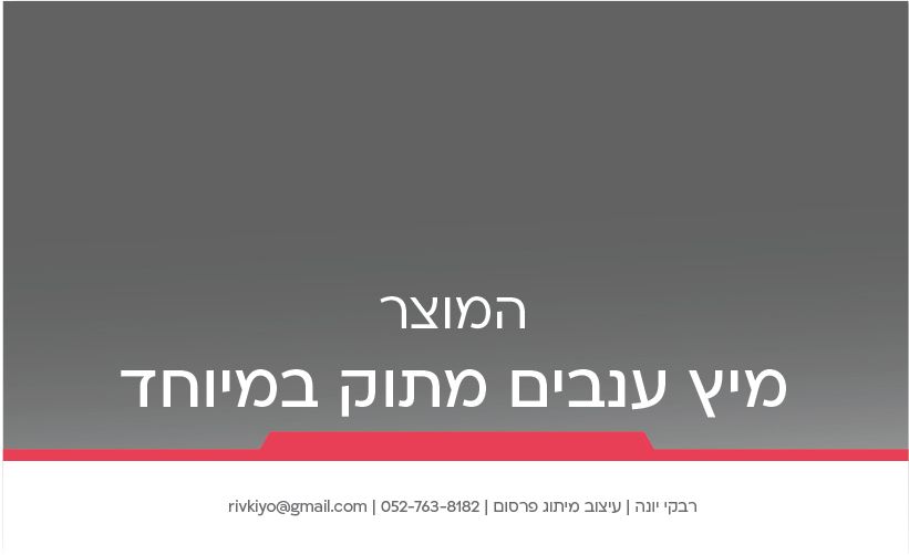 תיק רבקי יונה-15.jpg